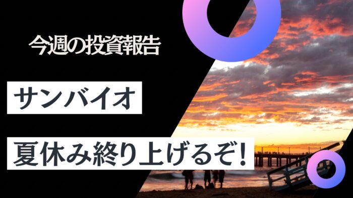 資産公開！元証券マン投資ブログ「日本株・iDeCo（イデコ）」【8月第5週】　2024/8/30日時点