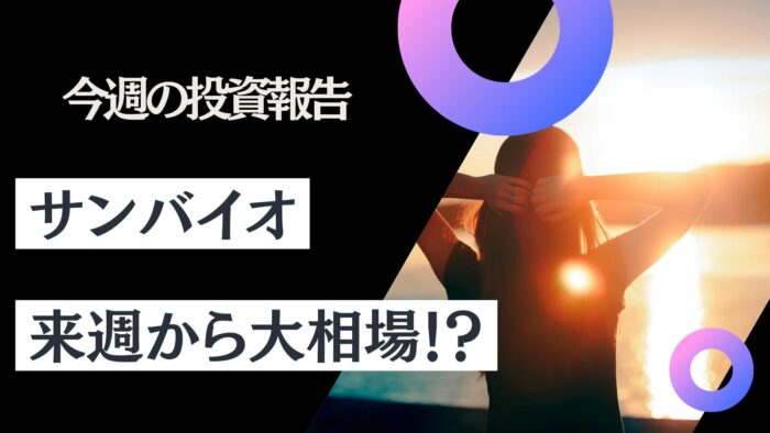 資産公開！元証券マン投資ブログ「日本株・iDeCo（イデコ）」【9月第2週】　2024/9/13日時点