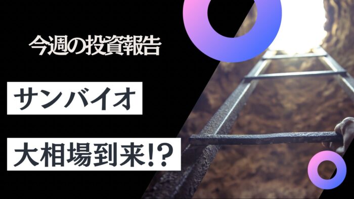 資産公開！元証券マン投資ブログ「日本株・iDeCo（イデコ）」【9月第3週】　2024/9/20日時点