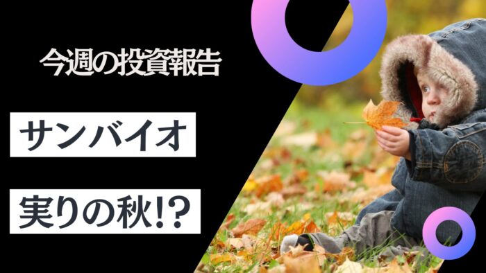 資産公開！元証券マン投資ブログ「日本株・iDeCo（イデコ）」【10月第2週】　2024/10/11日時点