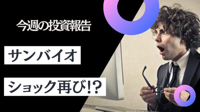 資産公開！元証券マン投資ブログ「日本株・iDeCo（イデコ）」【11月第3週】　2024/11/15日時点