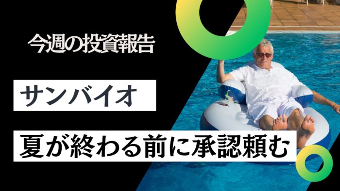 資産公開！元証券マン投資ブログ「日本株・iDeCo」【8月第3週】2025/8/15日時点